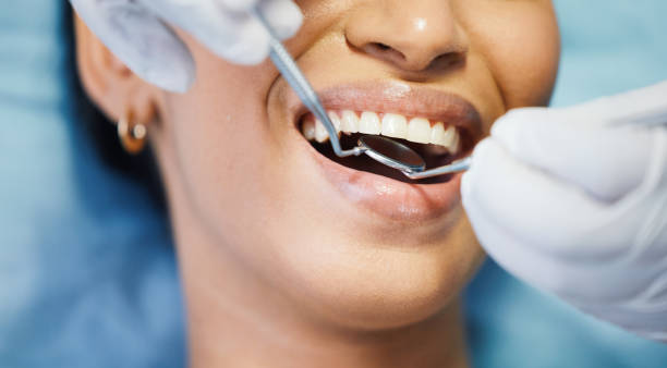 Best Emergency Dental Services for Seniors in Newbern, TN