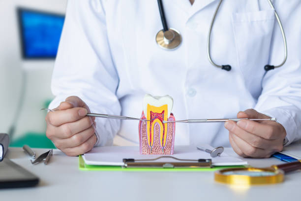 Best Broken or Cracked Tooth Emergency Dentist in Newbern, TN